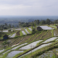 Photo de Bali - Jatiluwih